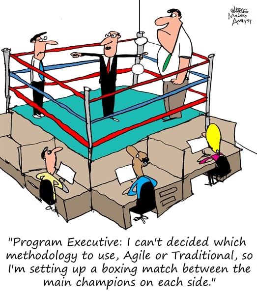 Humor - Cartoon: Choosing Between Agile and Waterfall Methodologies